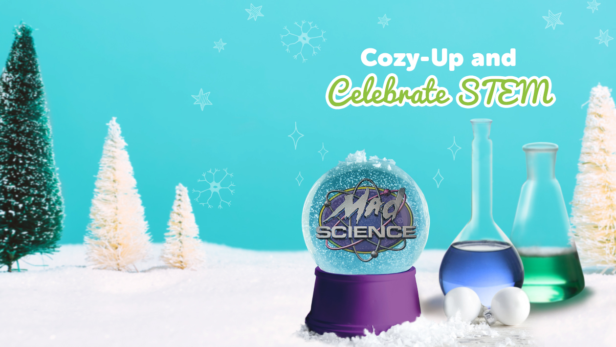 Mad science logo in a snow globe on a bed of snow with a 2 flasks, and multiple pine trees.