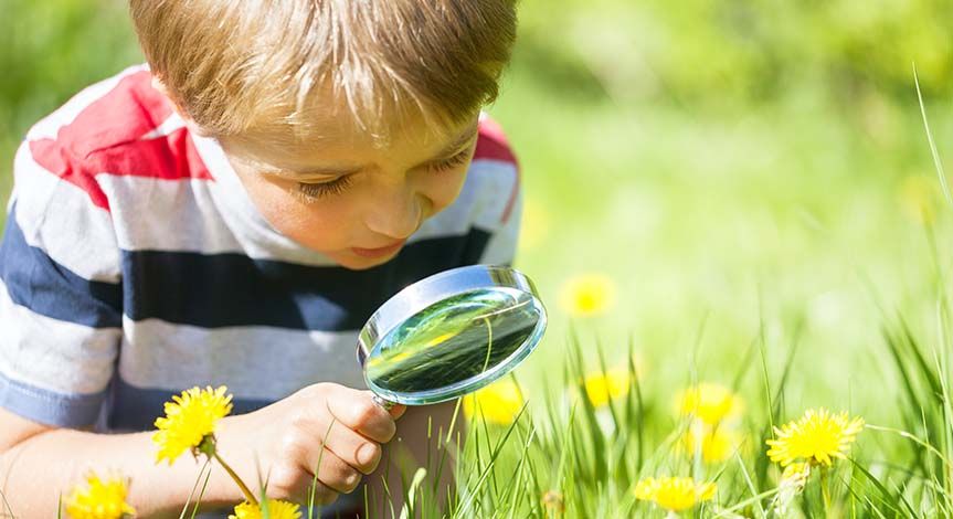 Boy in field looking at grass and flowers through a magnifying glass