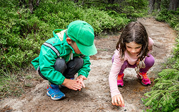 boy and girl sitting on forest ground exploring and learning about nature and insects. Looking at a black bug.