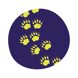 An icon that depicts paw prints for our All About Animals class.